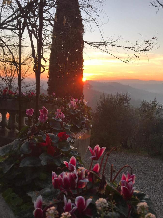 Villa La Piccioncina Firenze 외부 사진